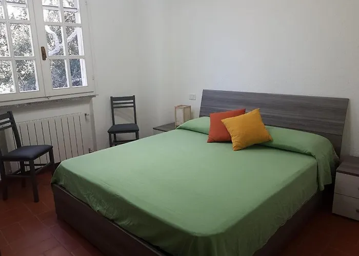 Le Sughere * Procchio